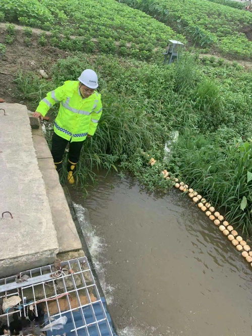 環(huán)境守護(hù)者丨保護(hù)碧水藍(lán)天 共建美好家園